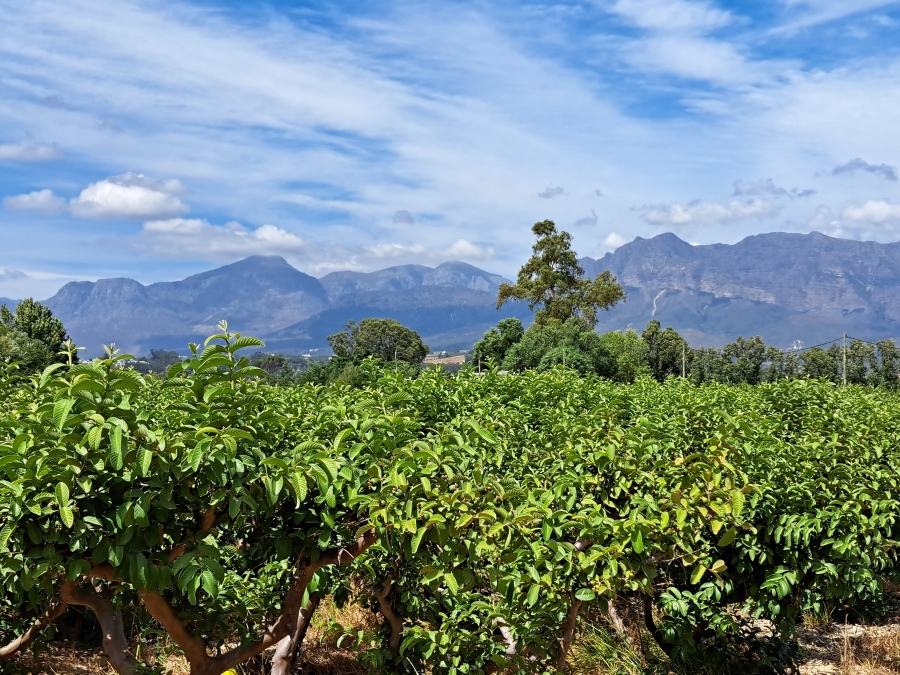 4 Bedroom Property for Sale in Paarl Rural Western Cape